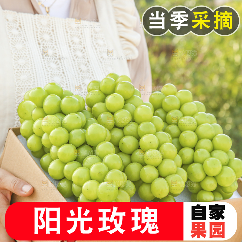 手里拿着阳光玫瑰