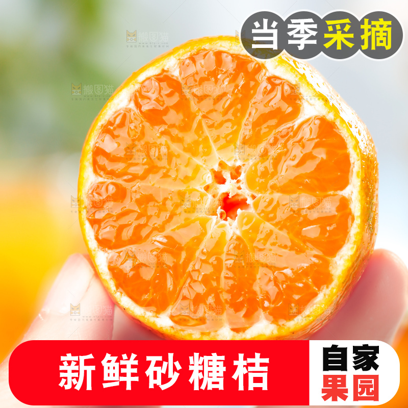 深底上的砂糖桔