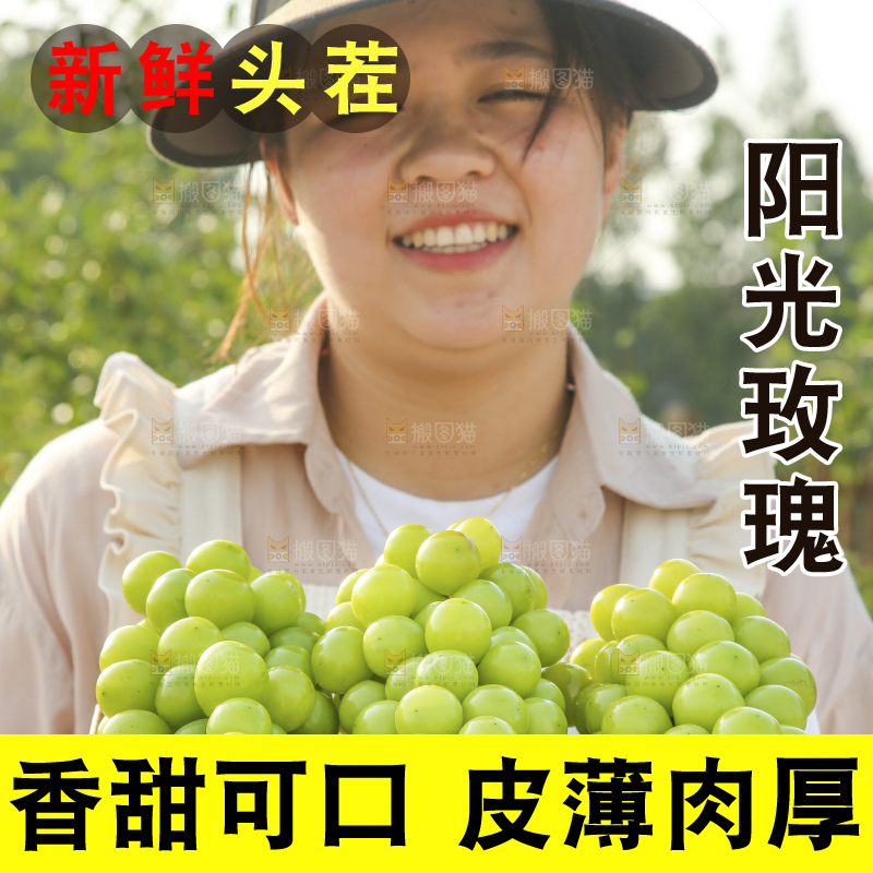 手里拿着阳光玫瑰