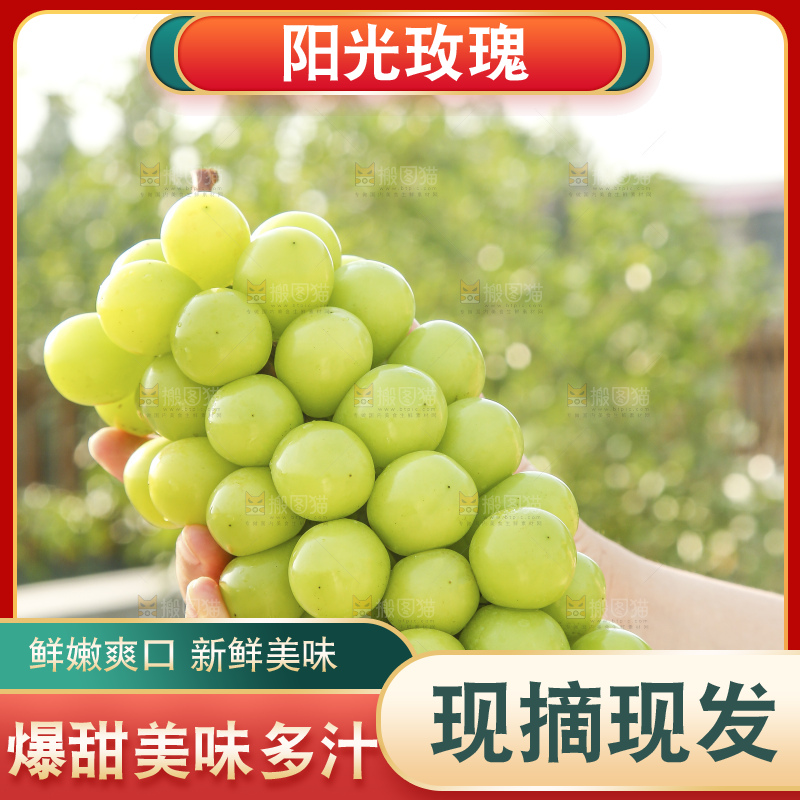 手里拿着阳光玫瑰