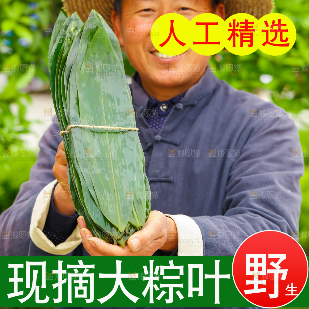 粽叶主图