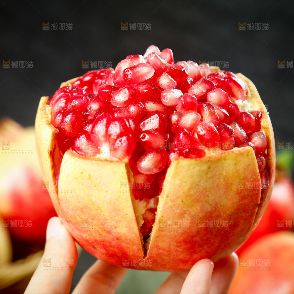 浅底上的突尼斯软籽石榴