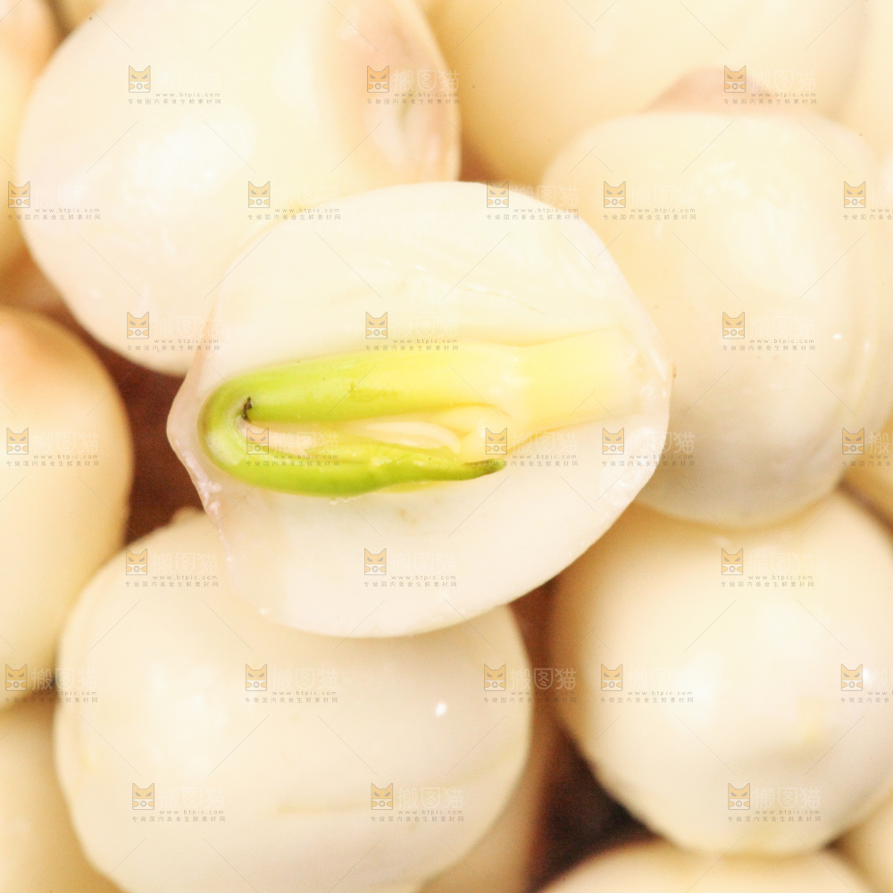 莲子