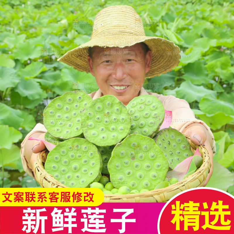 手里拿着新鲜莲蓬