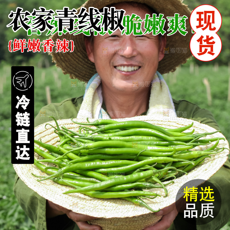 青线椒主图