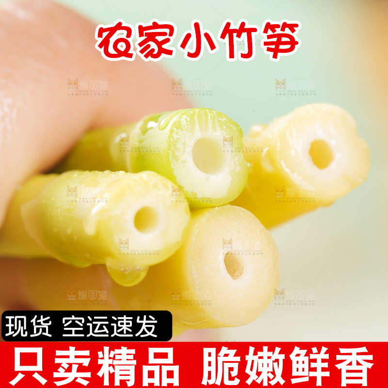 浅底上的小竹笋