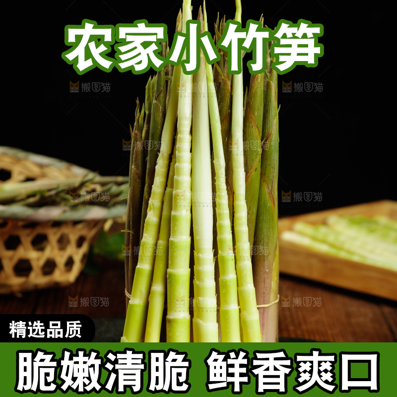 深底上的小竹笋