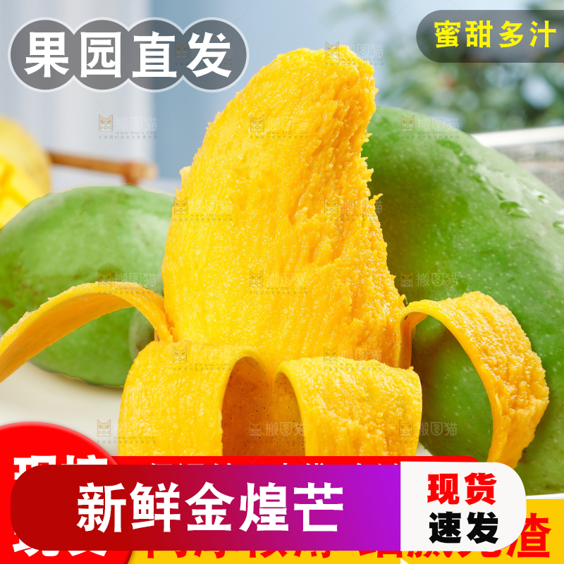 绿皮金煌芒主图