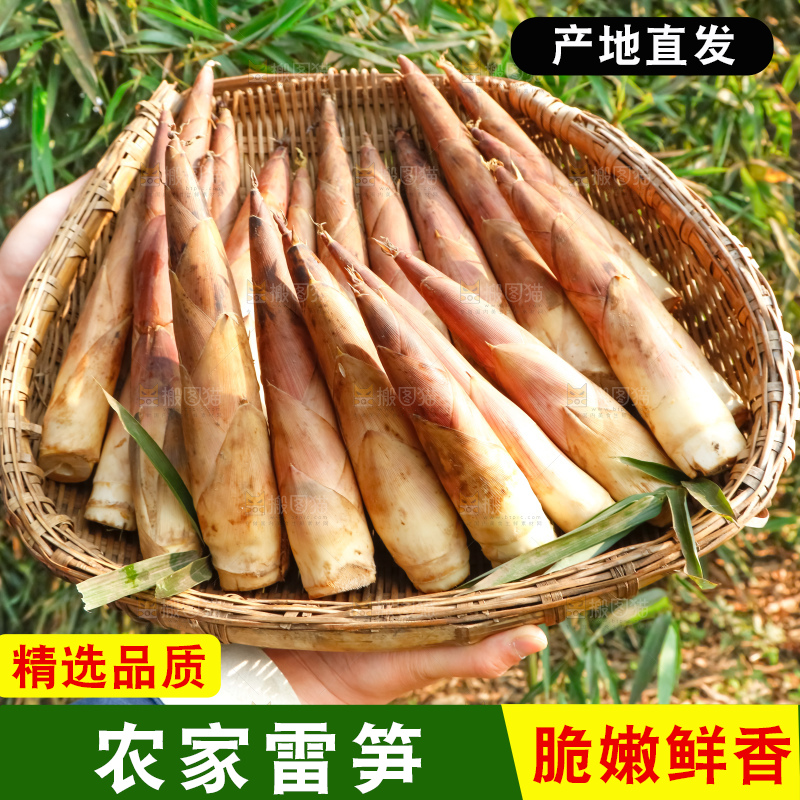 深底上的春雷笋