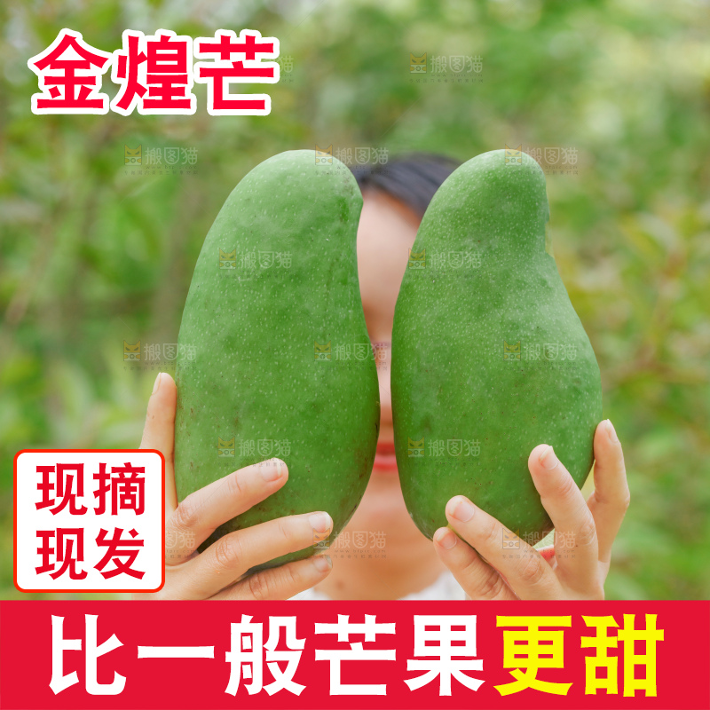 深底上的金煌芒
