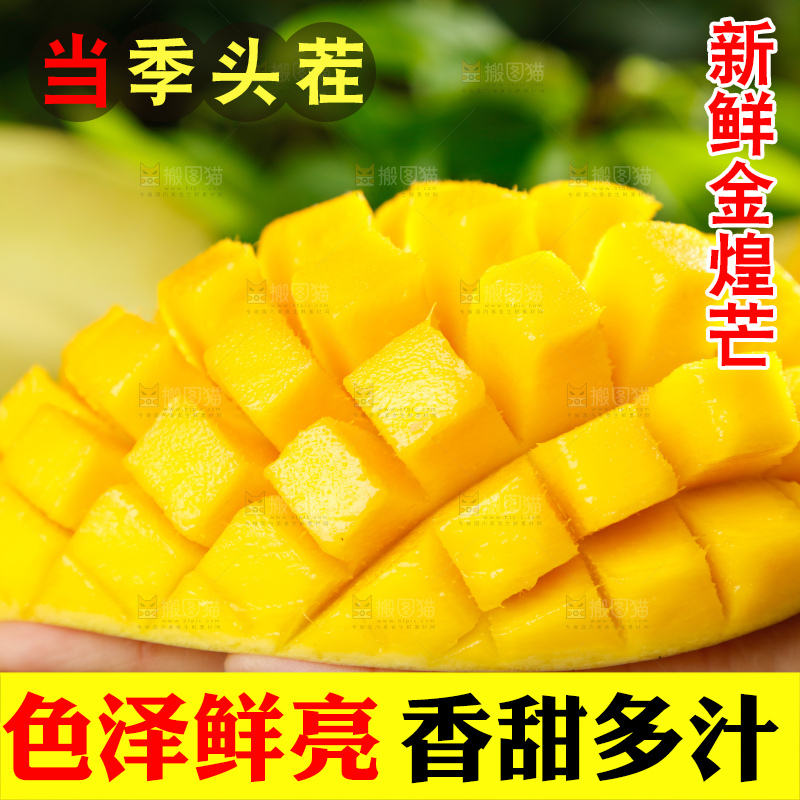深底上的金煌芒