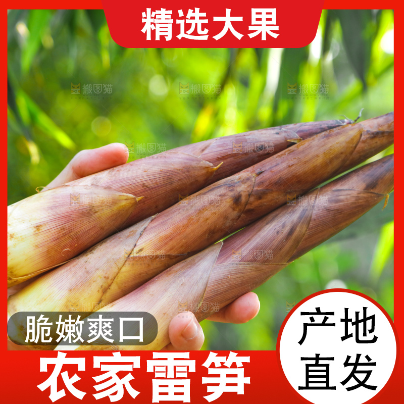 深底上的春雷笋