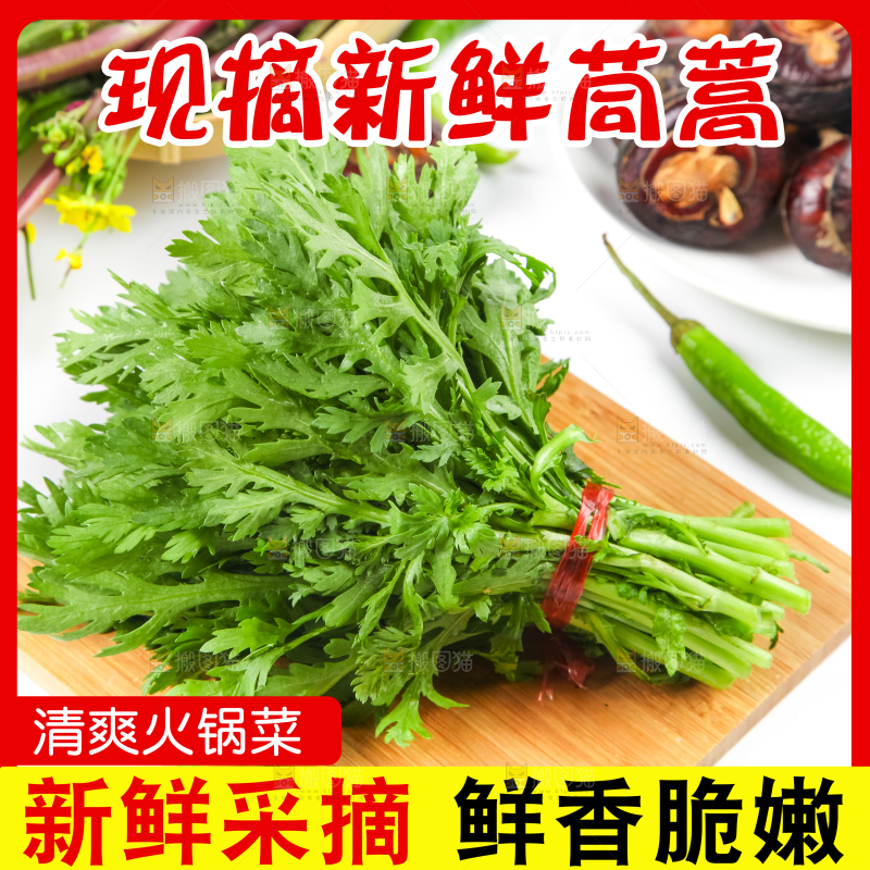 茼蒿主图