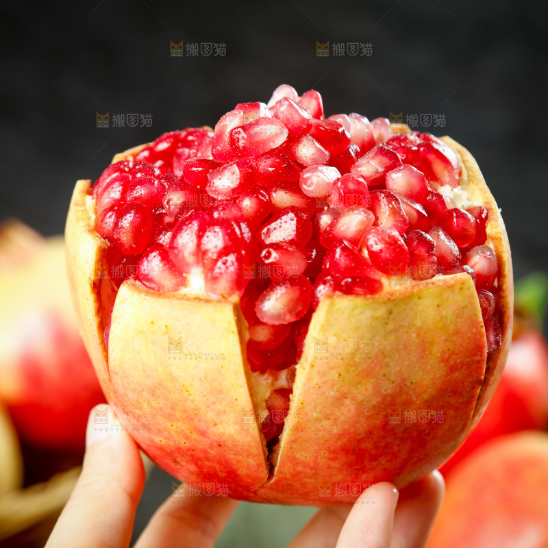 浅底上的突尼斯软籽石榴