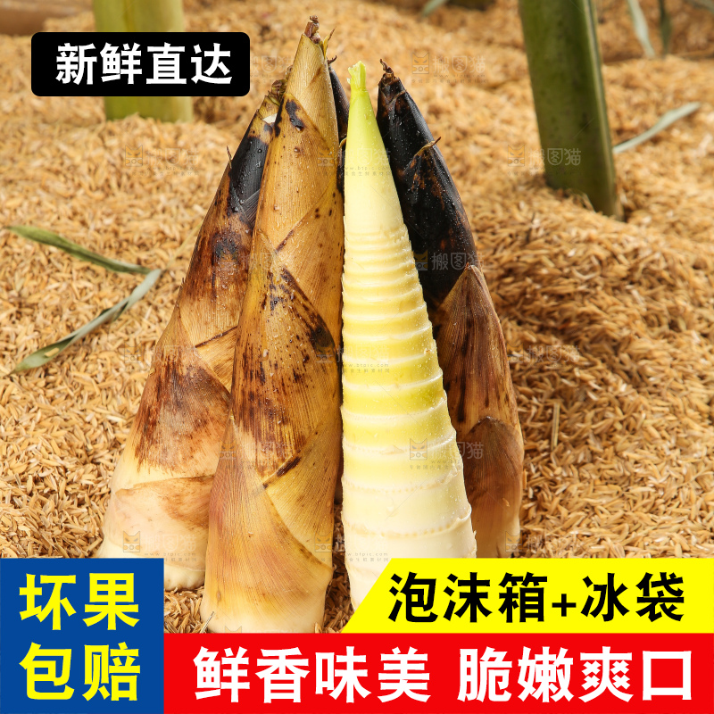 谷堆上的春雷笋