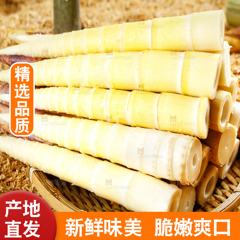 谷堆上的春雷笋