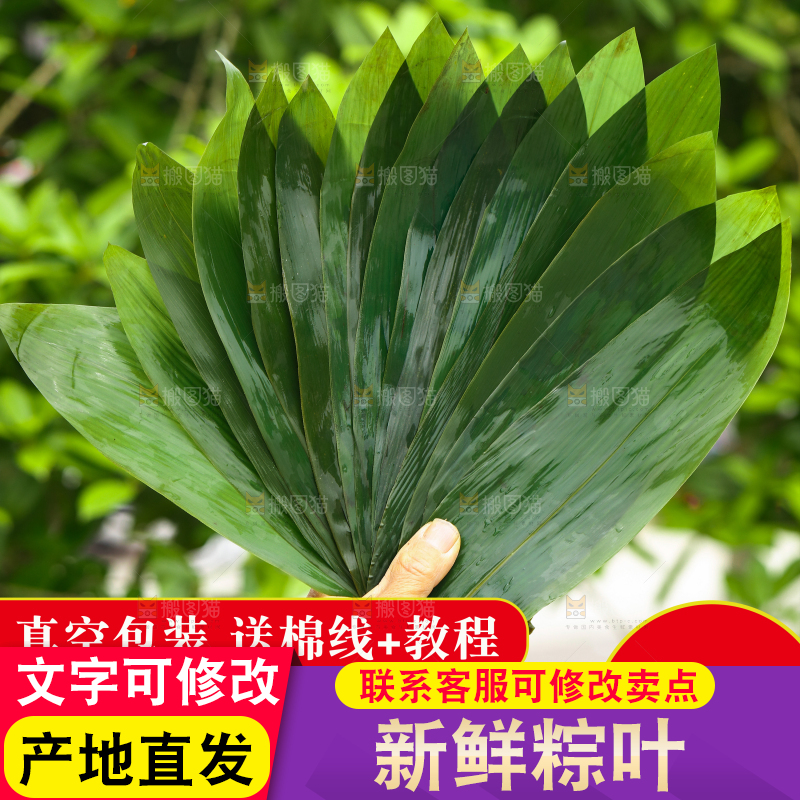 粽叶主图