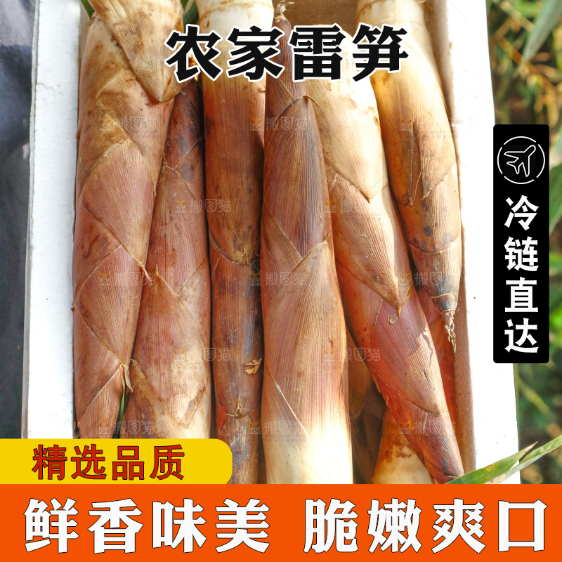 深底上的春雷笋