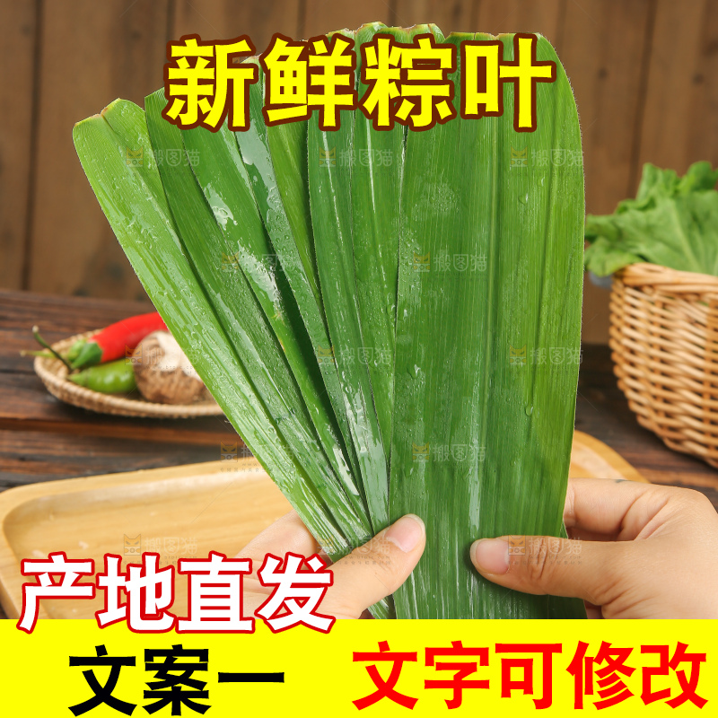 手里拿着新鲜粽叶