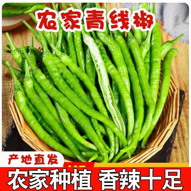青线椒主图