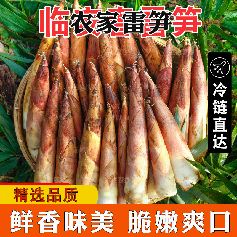 春雷笋主图