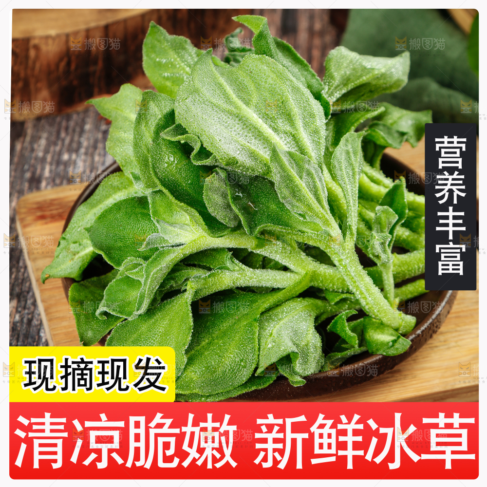 冰草主图