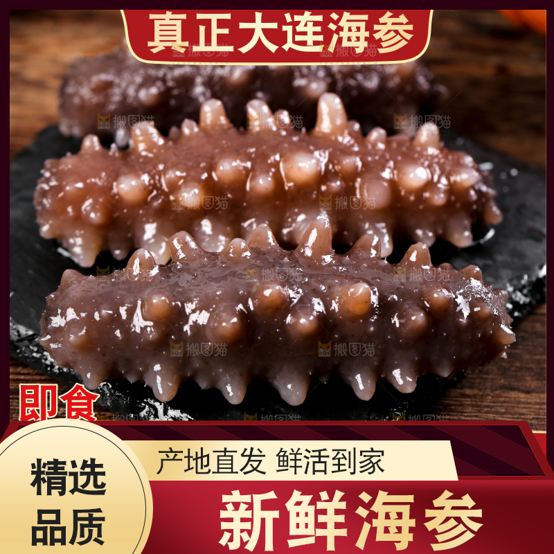 新鲜海参主图