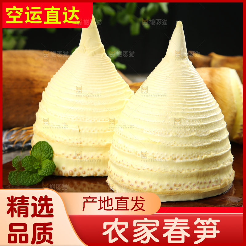 黄泥春笋主图