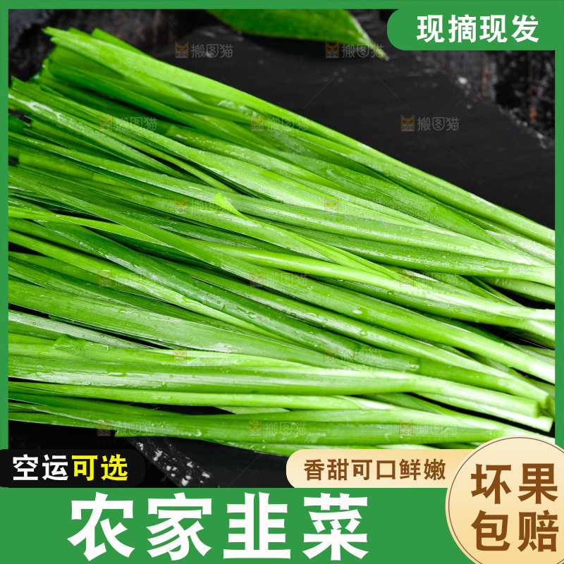 深底上的新鲜韭菜