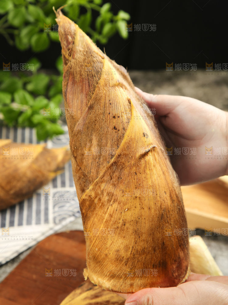深底上的新鲜冬笋
