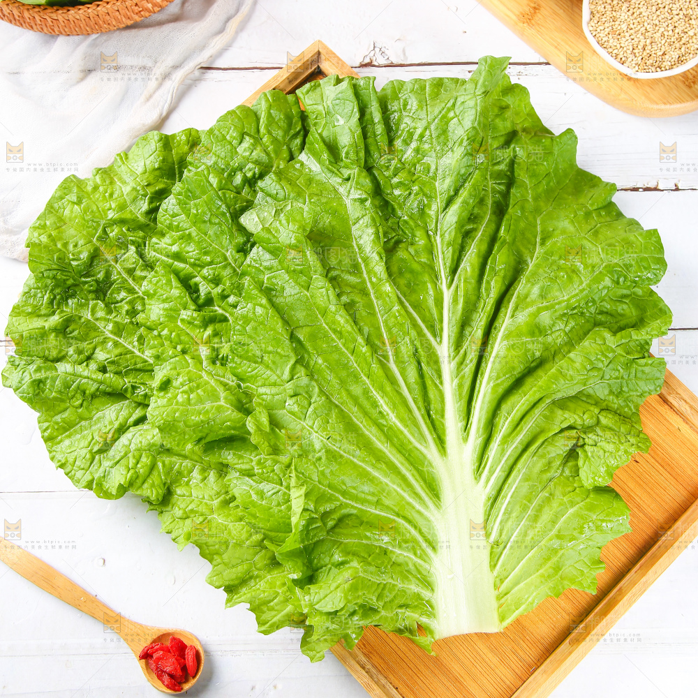 浅底上的饭包叶
