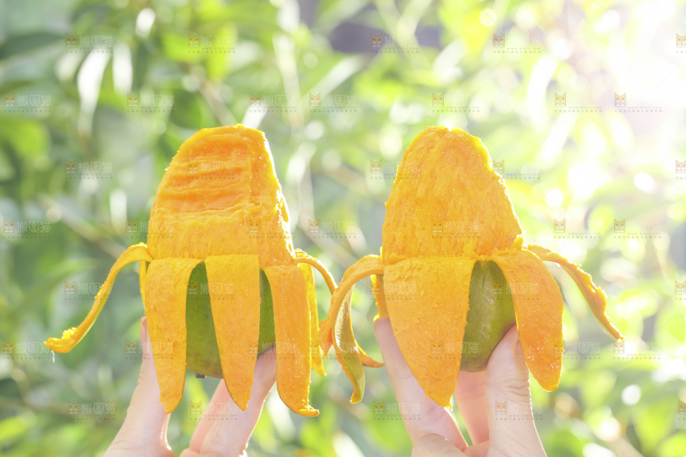 椰香芒