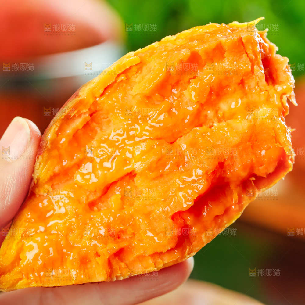 深底上的六鳌蜜薯