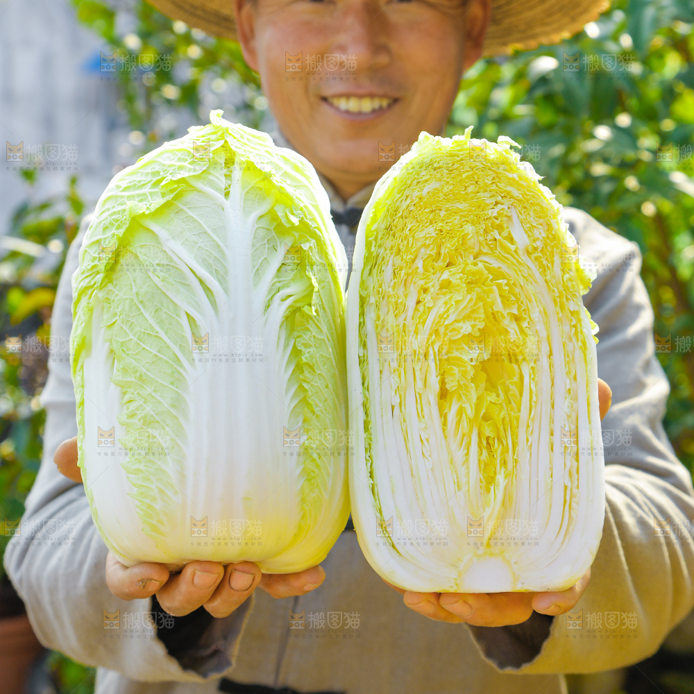 深底上的大白菜