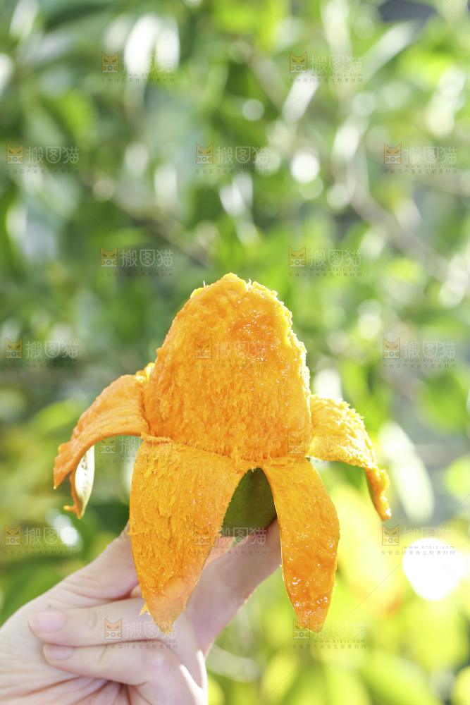 椰香芒
