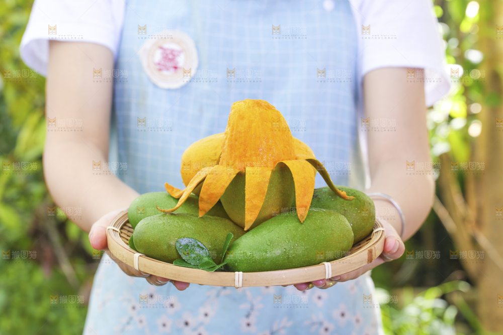 椰香芒