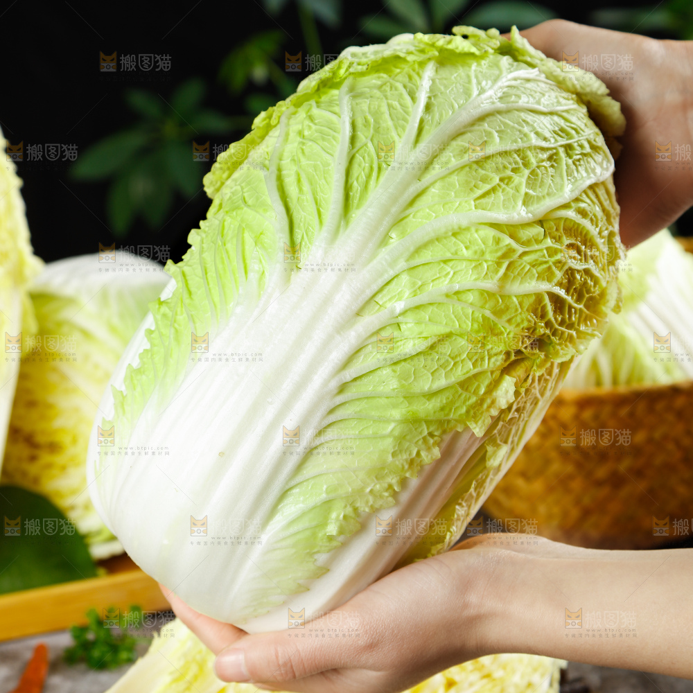 深底上的大白菜
