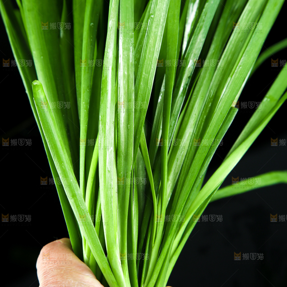 深底上的新鲜韭菜