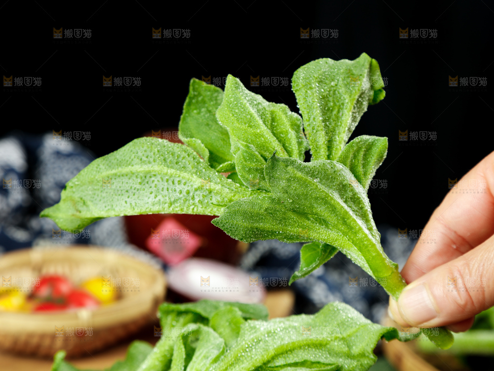 深底上的冰草
