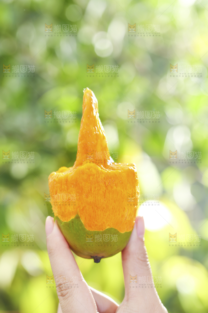 深底上的椰香芒