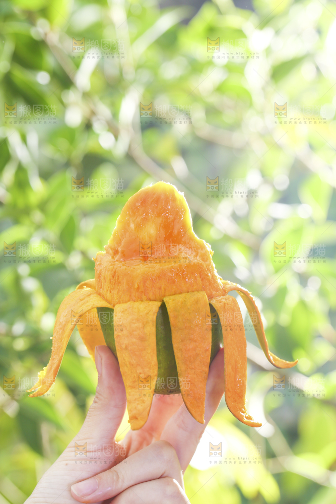 椰香芒