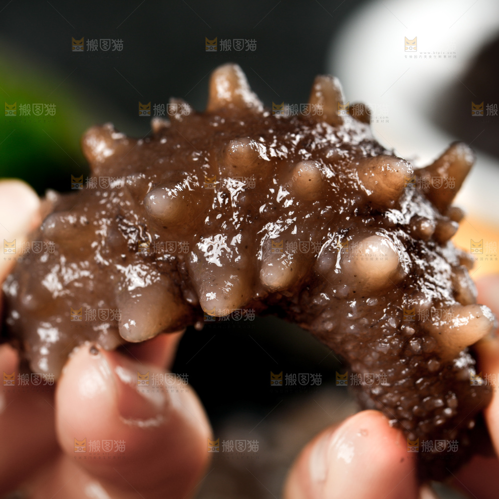 深底上的海参