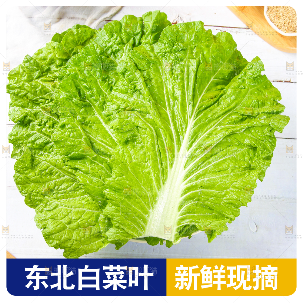 饭包叶主图