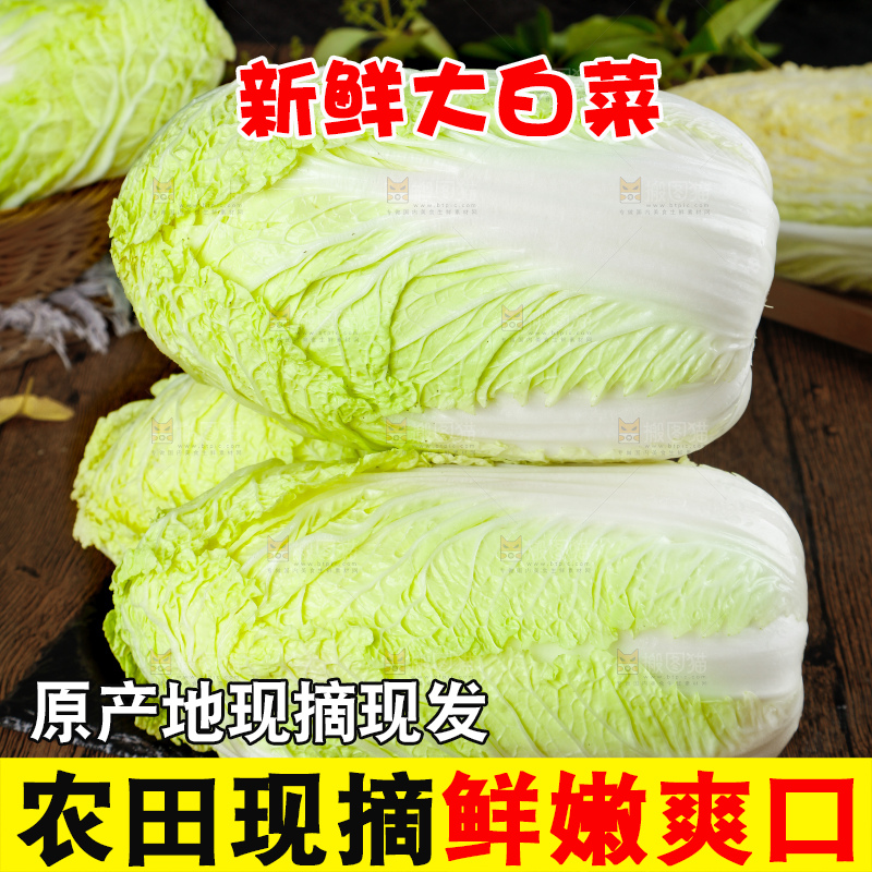 深底上的大白菜