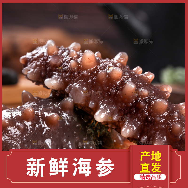 深底上的海参