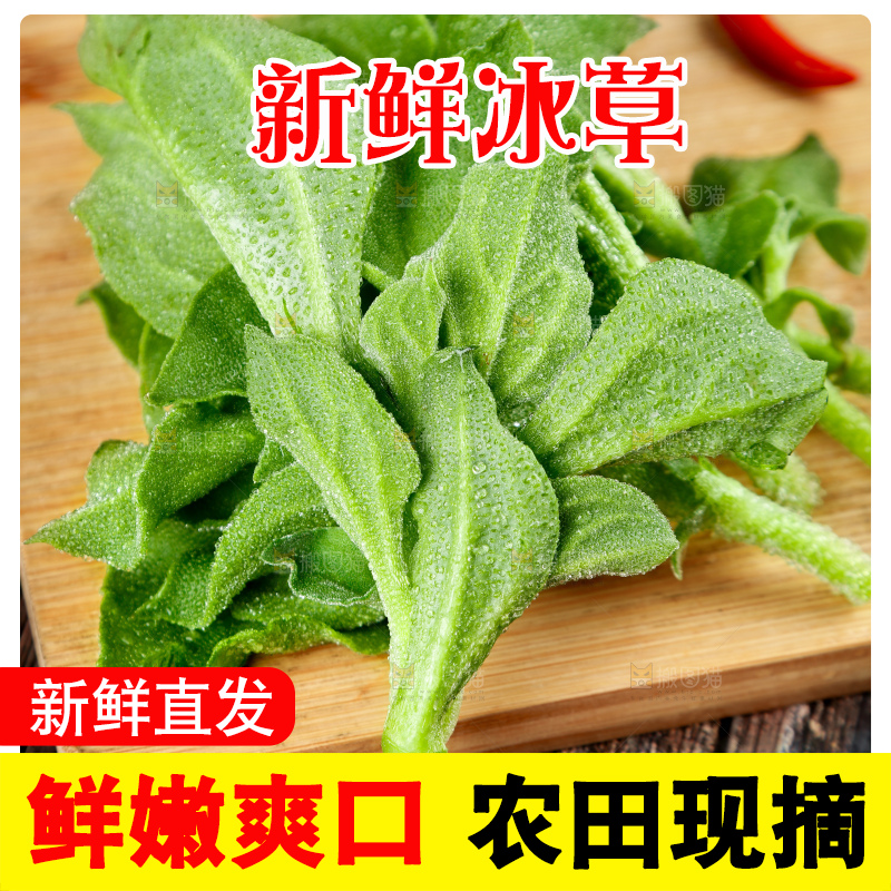 深底上的冰草
