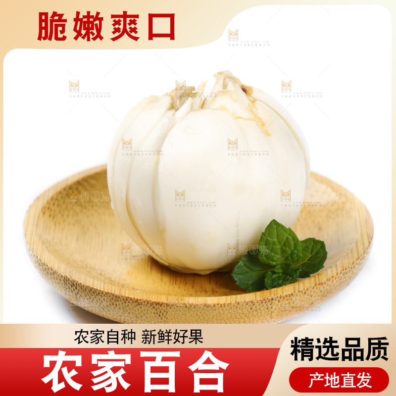 白底上的新鲜百合