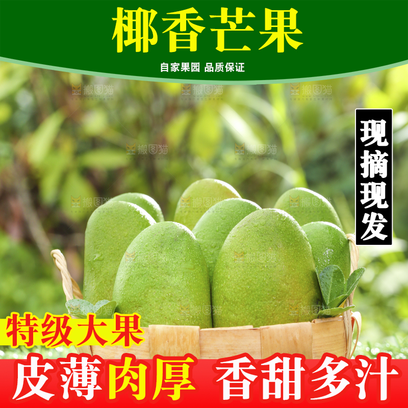 深底上的椰香芒