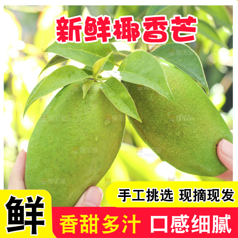 深底上的椰香芒