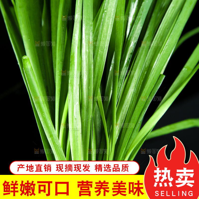 深底上的新鲜韭菜